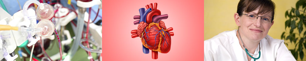 Cardiology Slide 4